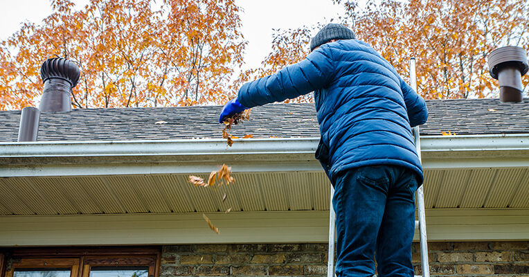 Roof Restoration Services – Tips and Tricks for Roof Preservation